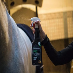 برو سينت - 500 مل - كافالور