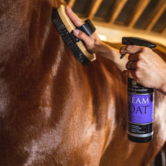 دريم كوت-سي دي إم