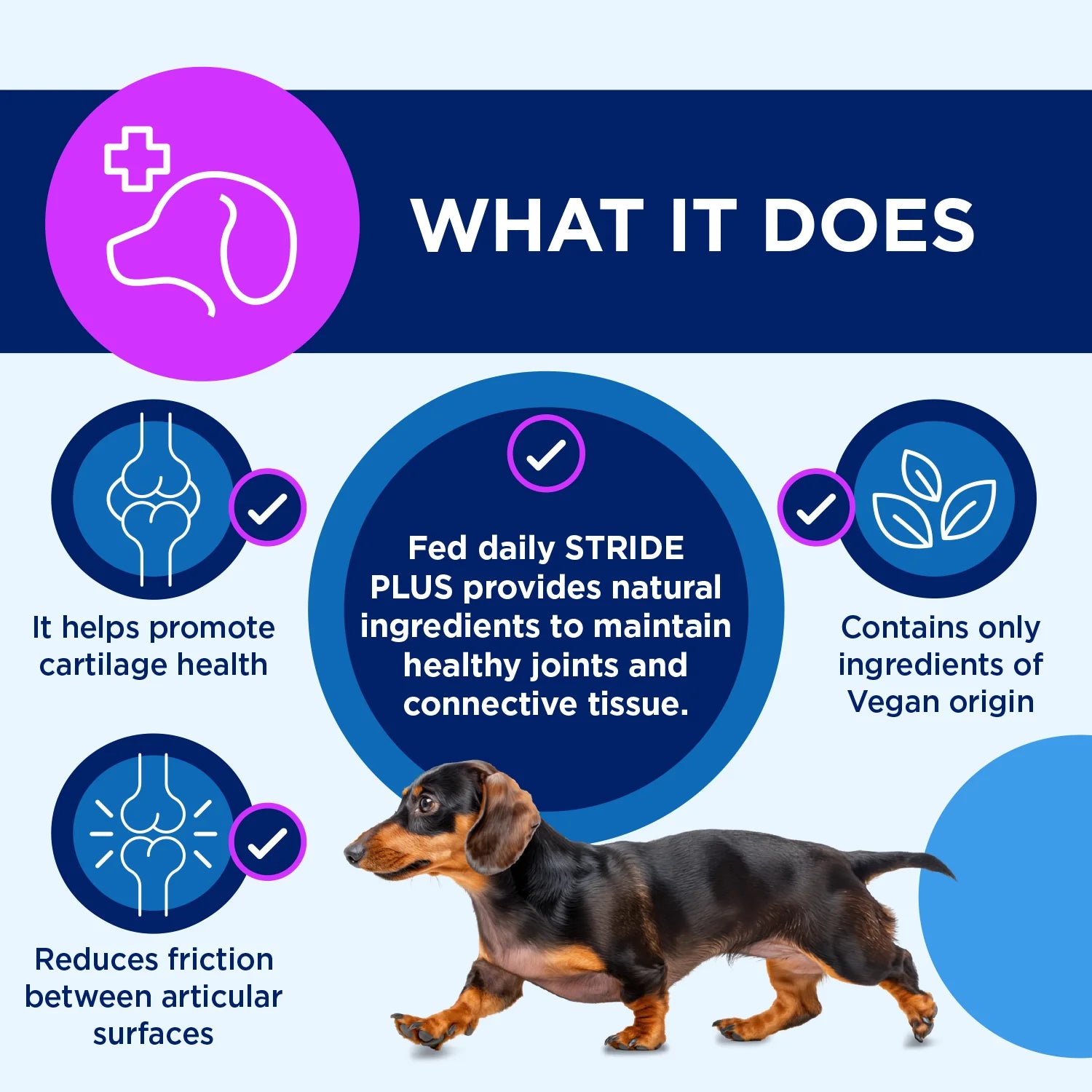 STRIDE_PLUS_500ML 456