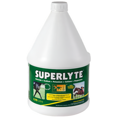 White plastic container of SUPERLYTE balanced electrolyte syrup for horses, with green label featuring images of horses and text detailing product use and contents.