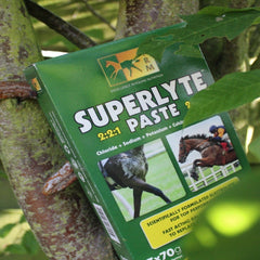 SUPERLYTE PASTE-3X70G-TRM 456