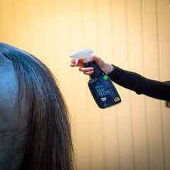 سويتش-500 مل-كافالور