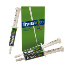 Transvite-Syringes-TRANSVITE PASTE-3X30G-EPUK