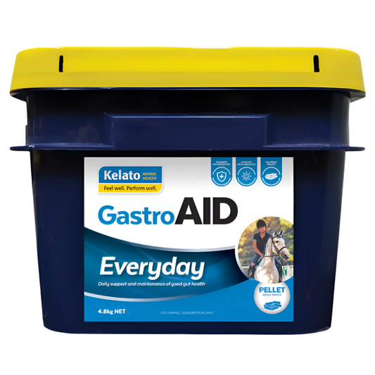 GASTROAID EVERYDAY-KELATO-AU