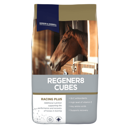 REGENER8 CUBES-D&H UK high-protein horse feed bag with horse in stable for performance and recovery support.