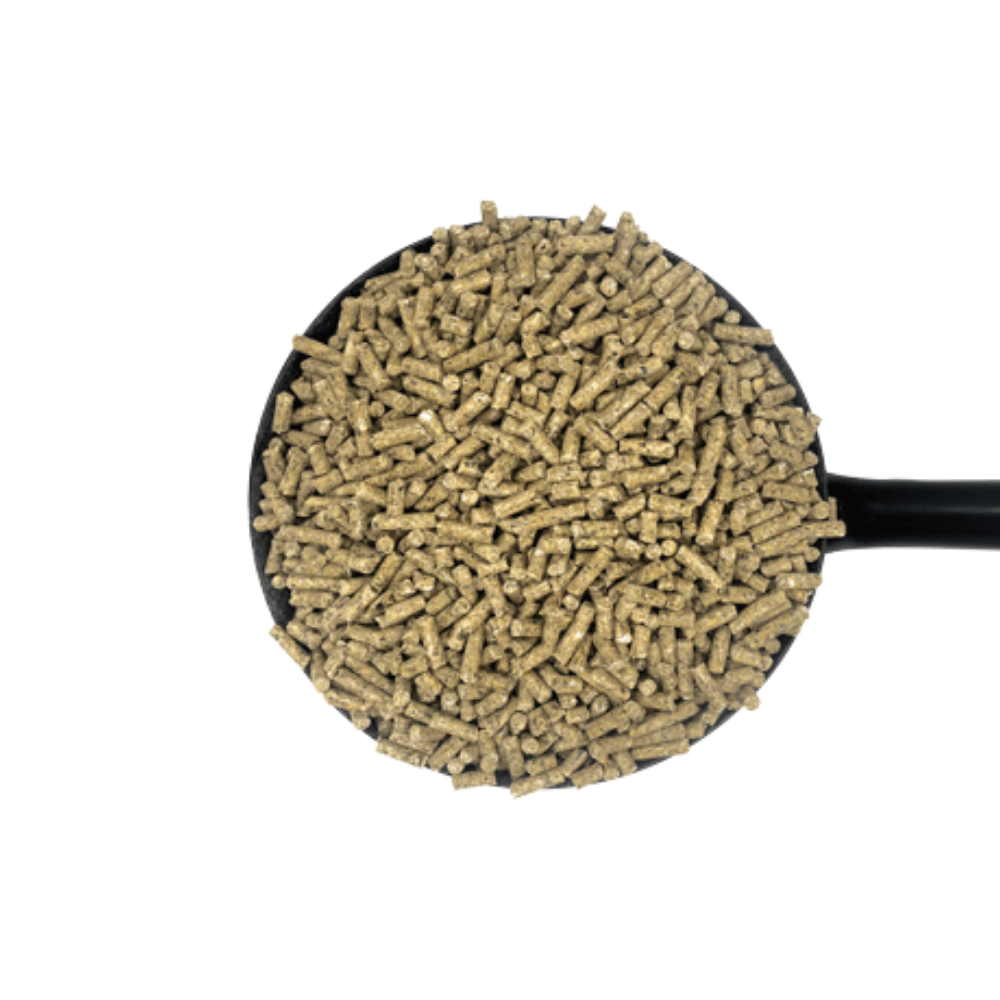 REGENER8 CUBES-D&H UK high-protein horse feed pellets in a measuring scoop