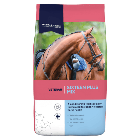 SIXTEEN PLUS MIX-D&H UK | Senior Horse Daily Feed by Dodson & Horrell, designed for veteran horse health.