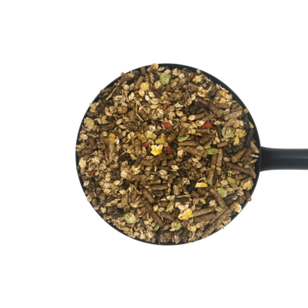 SIXTEEN PLUS MIX-D&H UK senior horse feed in a black measuring scoop, showcasing a nutritious blend.