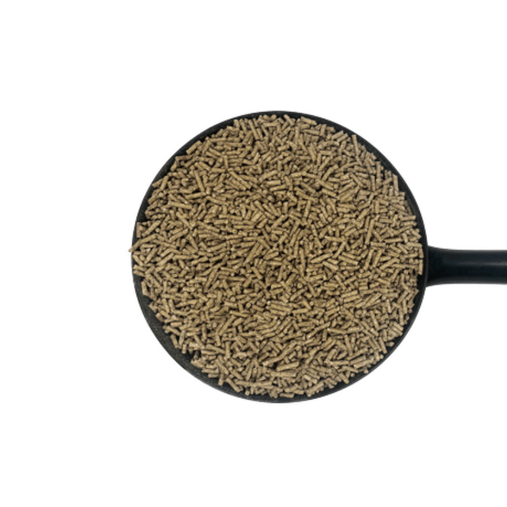 SUREGROW-D&H UK complementary horse feed in a black scoop, suitable for balanced daily feeding.