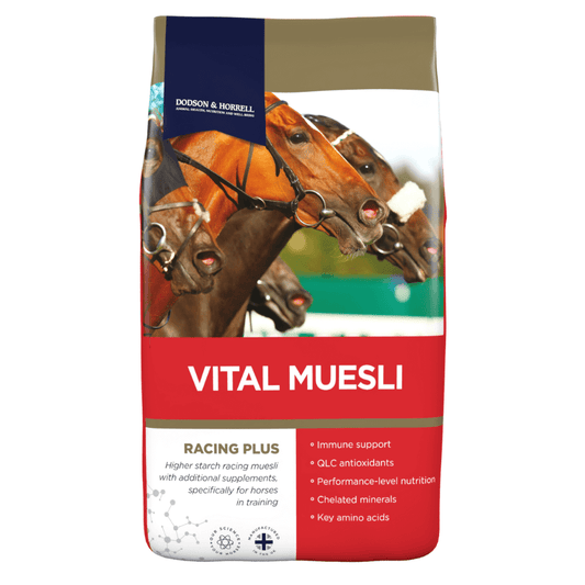 VITAL MUESLI-D&H UK | 20-kg bag of high-quality horse feed with nutritional support and performance-level nutrition.