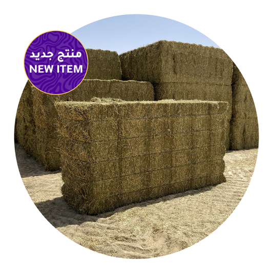 ALFALFA SUNCURED ECONOMY bales stacked in sunlight, premium-quality forage for livestock.