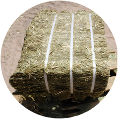 RYE GRASS bale packaged with white straps, showcasing premium quality forage for livestock.