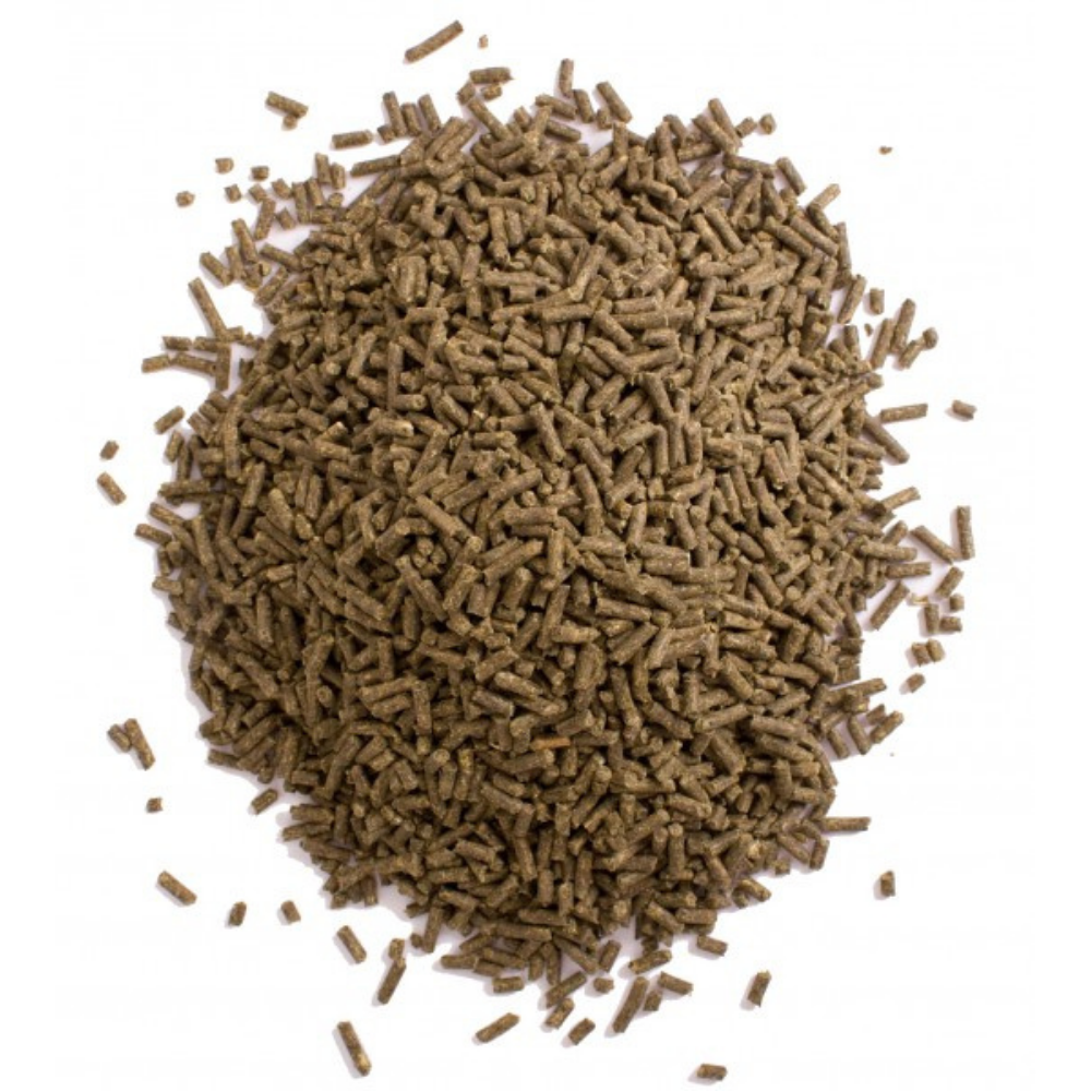 DAILY VITAMINS & MINERALS supplement pellets for horses, providing essential vitamins and minerals in convenient form.
