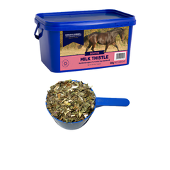 MILK THISTLE herbal supplement in a blue container with a measuring scoop for horse liver health support.