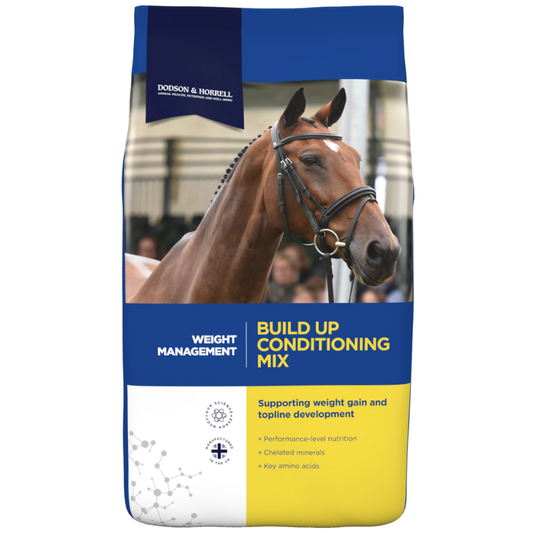 BUILD UP CONDITIONING MIX-D&H UK
