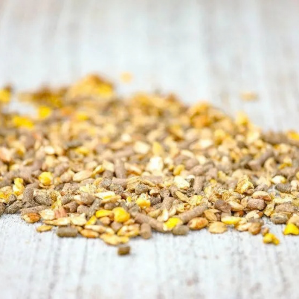 PIANISSIMO muesli by Cavalor, a premium mix of grains for horses, focusing on calm and energy control.