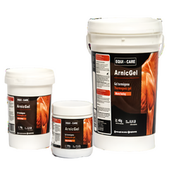 جل أرنيك-إي سي-الأرجنتين