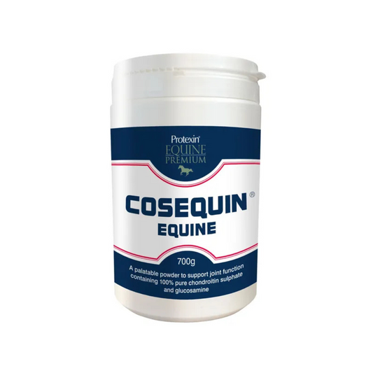 Cosequin Equine supplement container on a white background