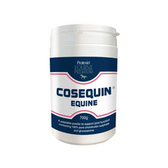 Cosequin Equine supplement container on a white background