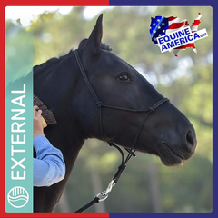 كريم فونجاترول 400 مل - عبوة من 3 قطع في المملكة المتحدة