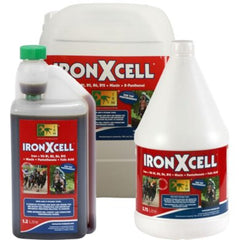 Two bottles of IRON X CELL-TRM, one larger and one smaller, with labels indicating it is a nutritional feed for horses. The larger bottle has a green cap, and both display images of horses and graphics indicating the product's use for red blood cell formation.