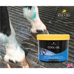 جل بارد 400G-لينكولن المملكة المتحدة