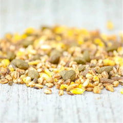 SUPER FORCE-20KG-CAVALOR-BELGIUM