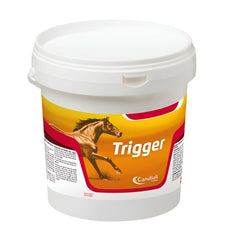 TRIGGER-CANDIOLI-ITALY