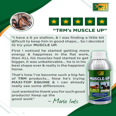 trm_muscle_up_23