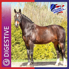 حبيبات ULS-GARD-EAUK