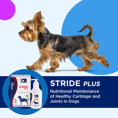 سترايد بلس-TRM PET 