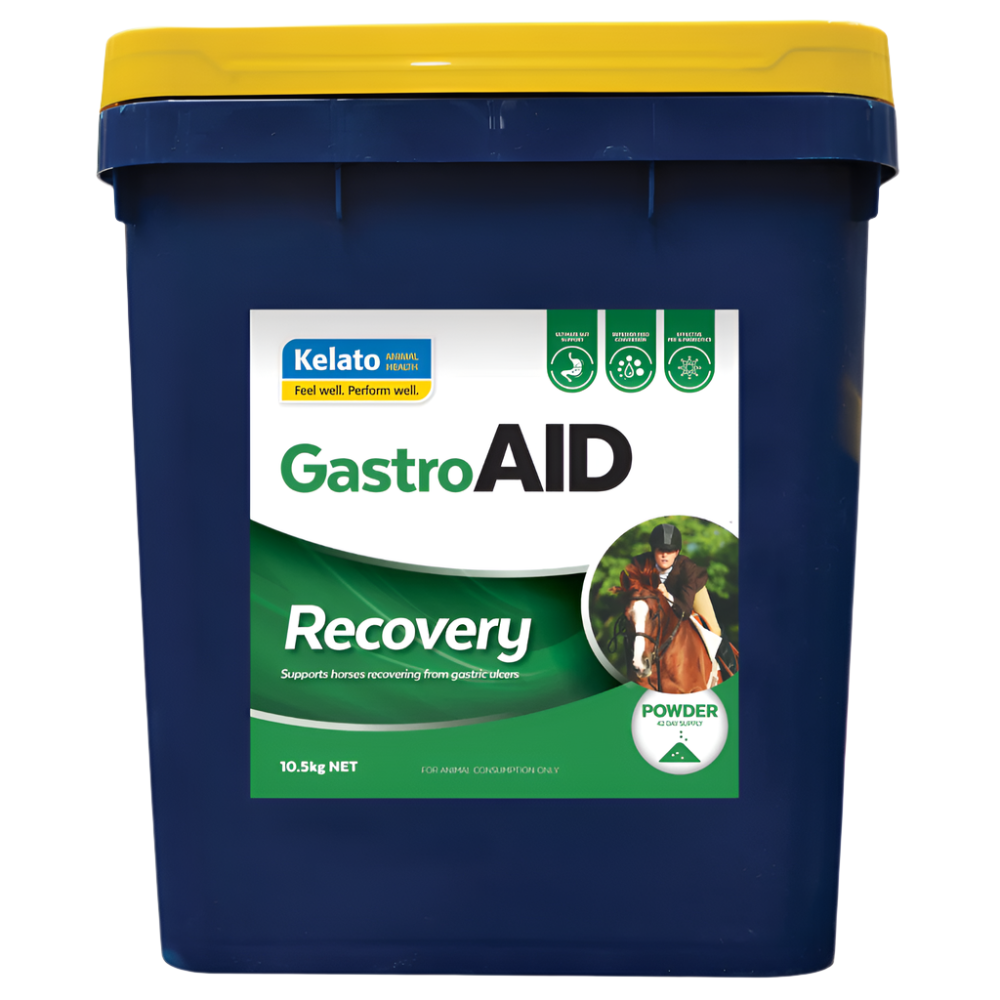 GASTRO AID RECOVERY-KELATO-AU