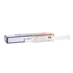 APPLE LYTES PASTE by Equine America UK in a packaging box with syringe applicator for hydration support.
