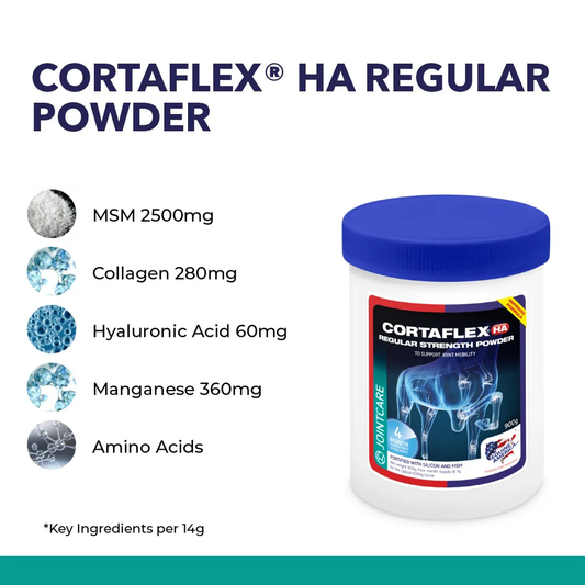 CORTAFLEX® HA REGULAR STRENGTH POWDER-EAUK