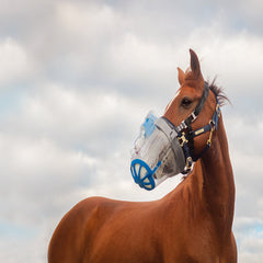 NEBULISER FOR HORSES- SAHOMA-KB