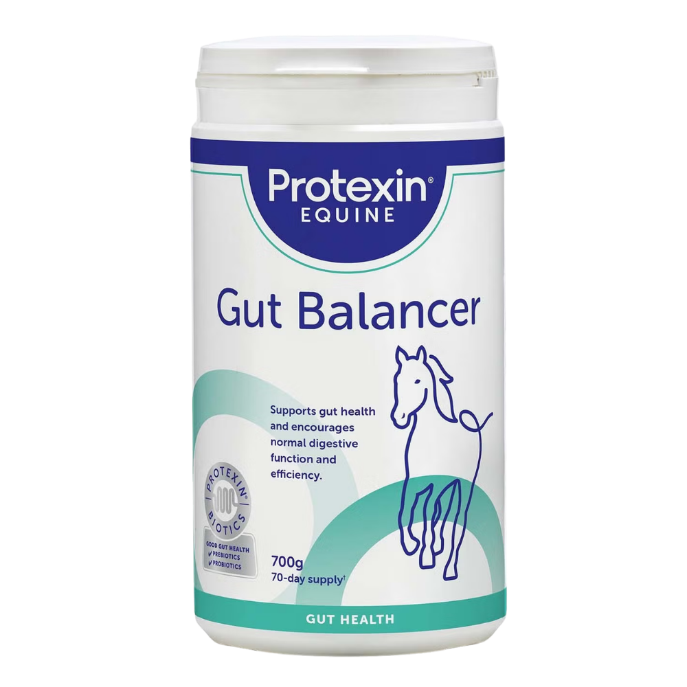 Gut Balancer probiotic supplement by Protexin Equine for horses and ponies' digestive health and wellbeing.