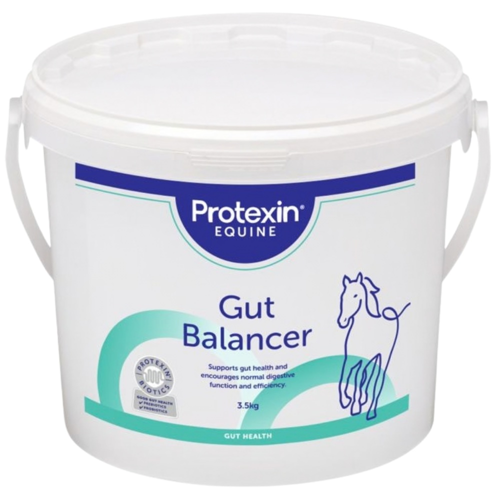 GUT BALANCER by Protexin Equine for horse digestive health and nutrient utilisation. 3.5kg container.