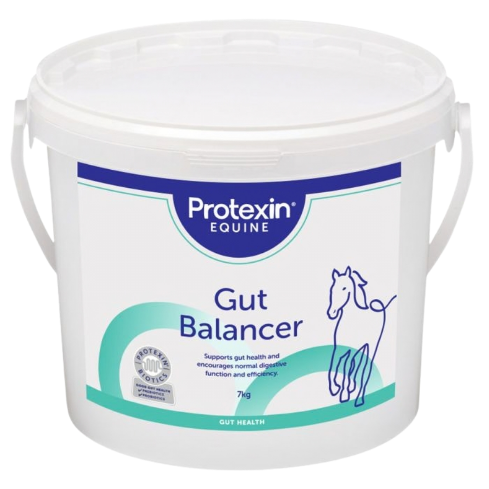 GUT BALANCER by Protexin Equine in a white bucket for horse digestive health support.