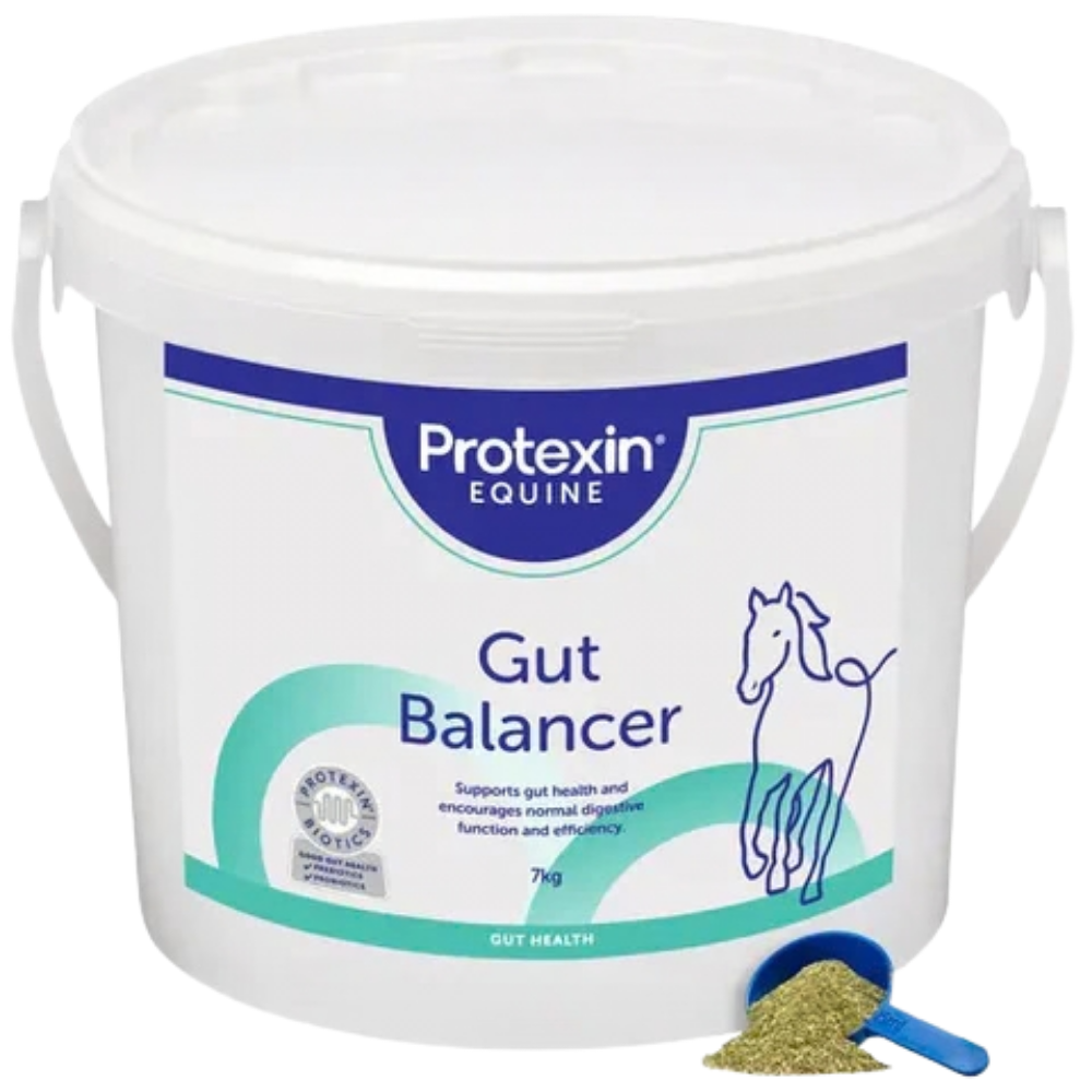GUT BALANCER by Protexin Equine, a probiotic supplement for digestive health in horses.
