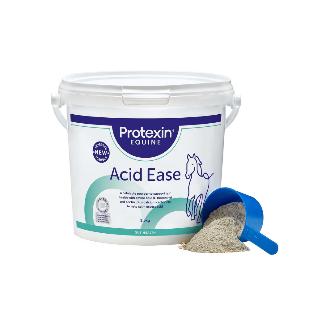 Protexin Acid Ease equine supplement for gastric health in horses and foals, 1.5 kg bucket with scoop.