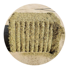Natural Alfalfa mixed with grasses in a hay bale, suitable for horses and livestock.