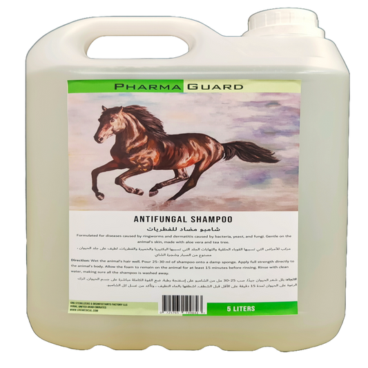 ANTIFUNGAL SHAMPOO- PG