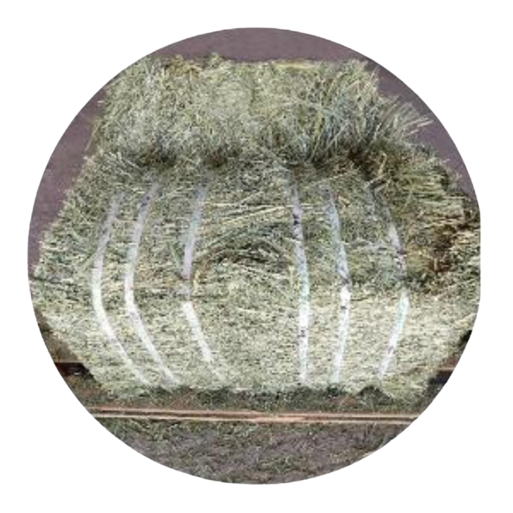 Premium Timothy Hay bundle for horses and livestock, rich in fiber and nutrition, sourced from the USA.