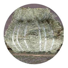 Premium Timothy Hay bundle for horses and livestock, rich in fiber and nutrition, sourced from the USA.