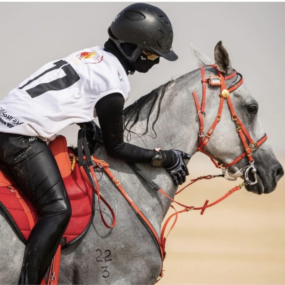 N1 RIDING MASK worn by a rider in a black helmet, training on a grey horse in a desert setting.