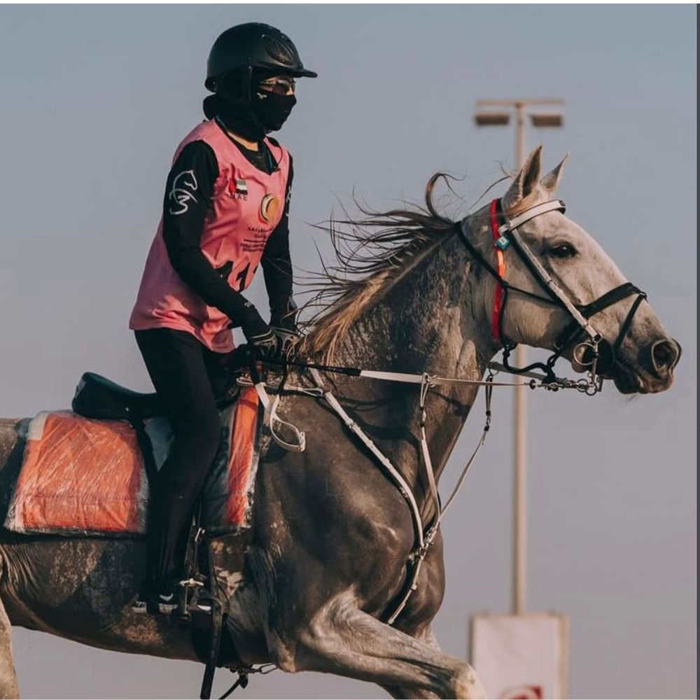 N1 RIDING MASK worn by a rider on a grey horse during training, showcasing equestrian gear and action.