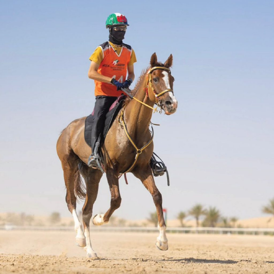 Rider wearing N3F Riding Mask on a brown horse in desert setting, emphasizing equestrian protection and performance.