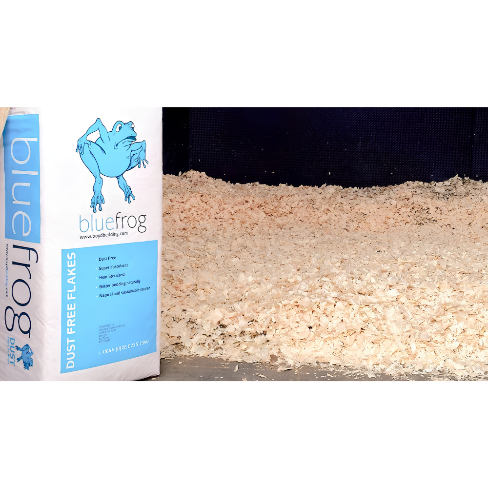 BLUE FROG horse bedding shown with dust-free wood shavings, ideal for healthy stable environments by Boyd Bedding.