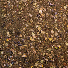 Close-up of Höveler PUR.MUSKEL grain-free muesli blend for muscle support in horses.