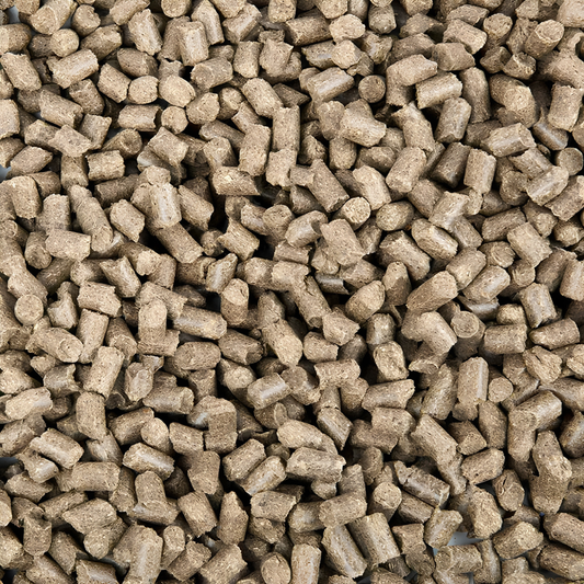 Close-up of PUR.GASTRO horse feed pellets, grain-free and molasses-free, ideal for sensitive stomachs.